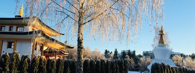 IMG_1641.JPG